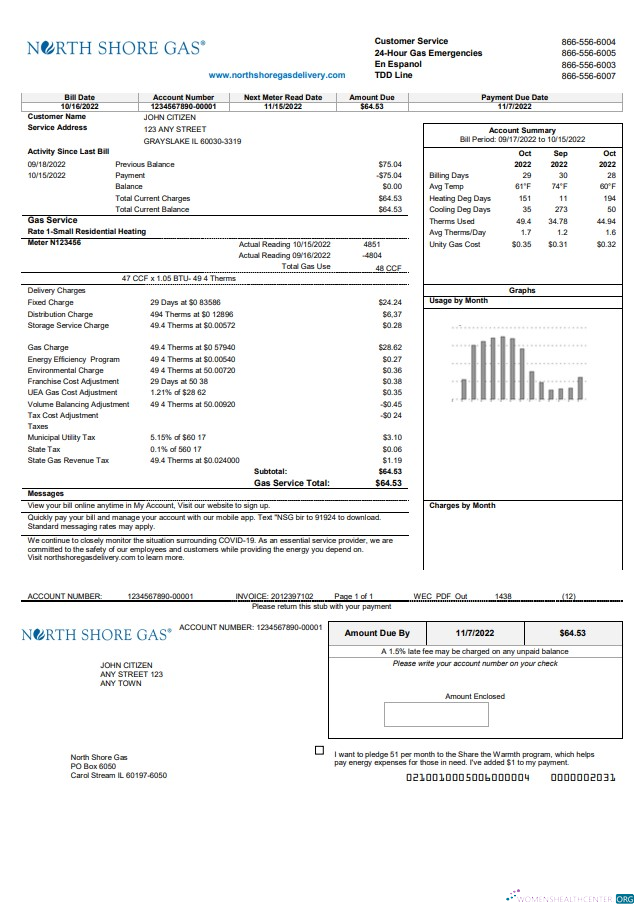 download USA Illinois North Shore Gas utility bill template in Word and PDF format PDF template
